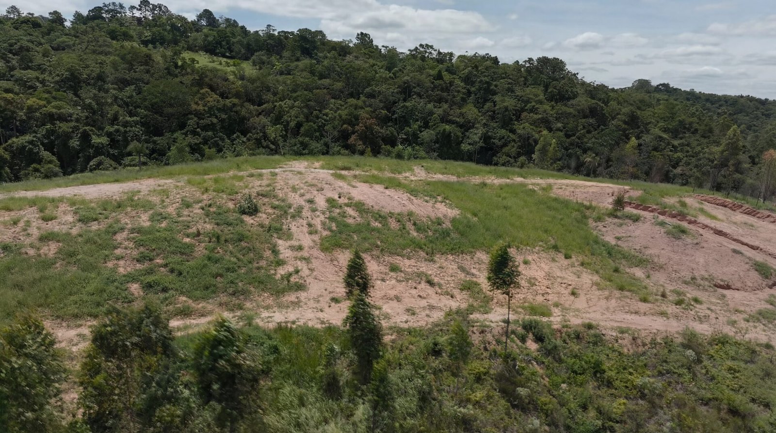 Área de relevo suave com vegetação